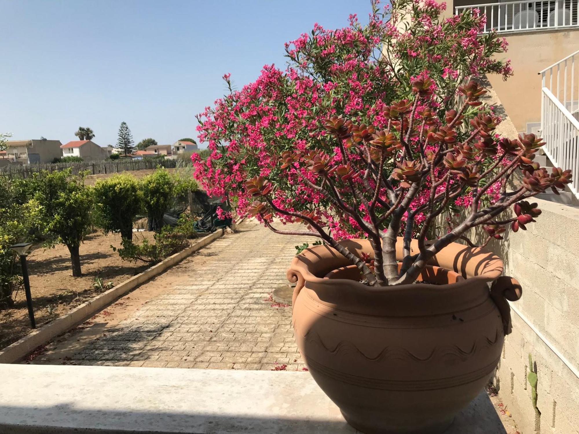Villino Oleandro Villa Santa Maria Del Focallo Eksteriør billede